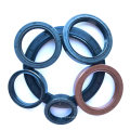 OEM/ODM Single Lip Tc Sc NBR FKM Skeleton Oil Seal